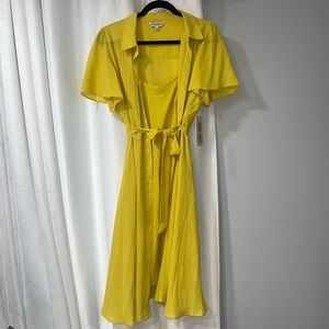 NWT Lime Green Dress